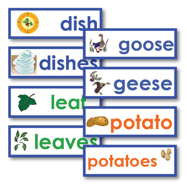 Year 4 Spelling List