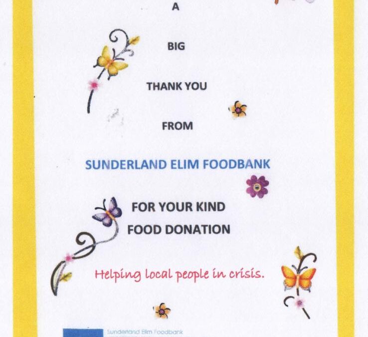 Mini Vinnies support local foodbank