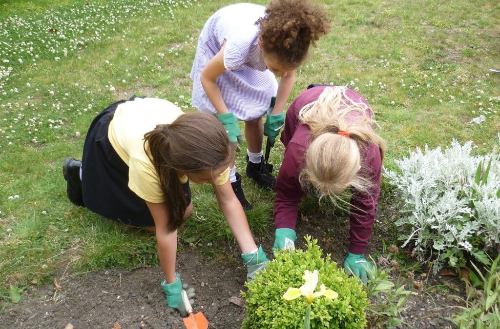 Year 4 Gardening Club